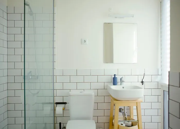 The Holy Cow - & 호스텔