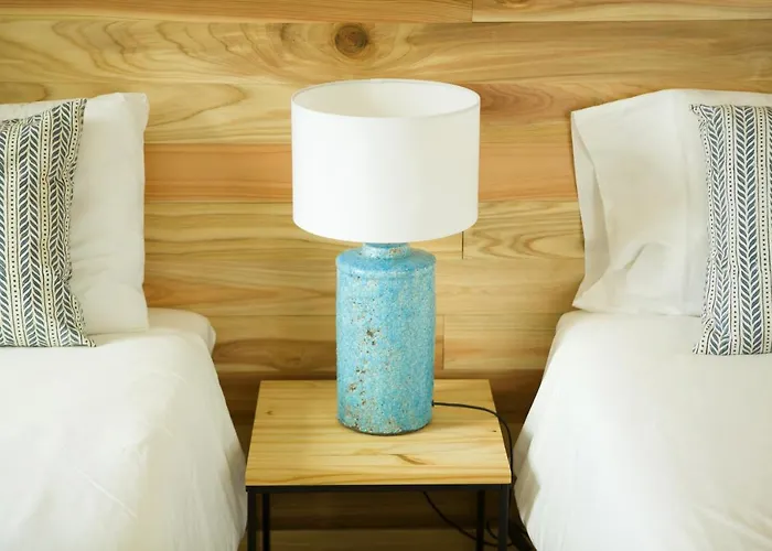 بيت شباب The Holy Cow - &