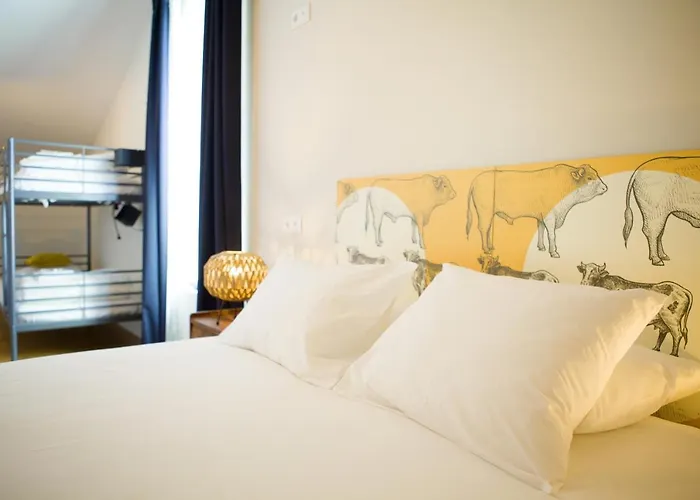 بيت شباب The Holy Cow - &