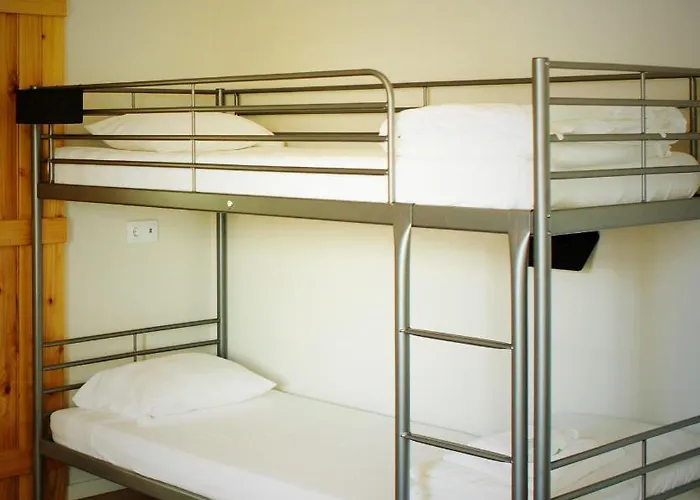 بيت شباب The Holy Cow - & *