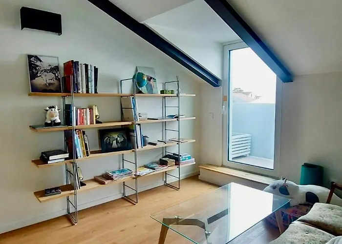 بيت شباب The Holy Cow - &